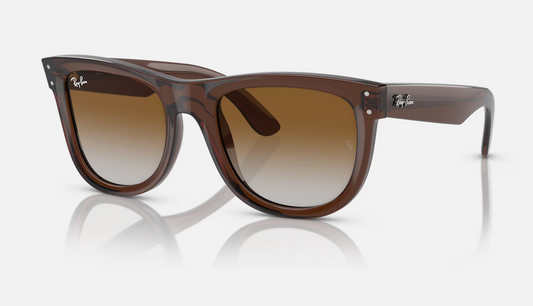 Lentes de sol Ray-Ban Wayfarer Reverse RBR0502S S - Marrón Traslúcido - Marrón