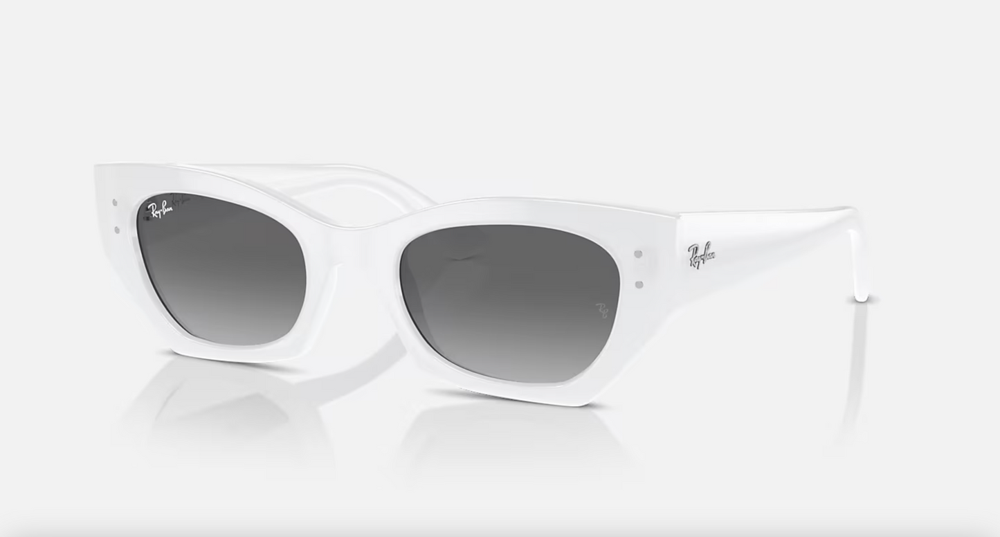 Lentes de sol Ray-Ban Zena Bio-Based RB4430